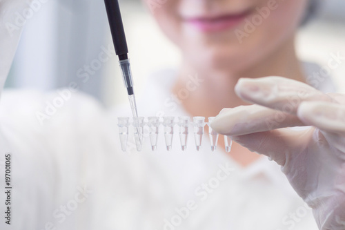 Bilde på lerret Close-up of female technician with multipipette and in genetic laboratory doing PCR research