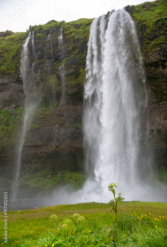 Waterfall Seljalandsfoss in the south coast of Iceland.