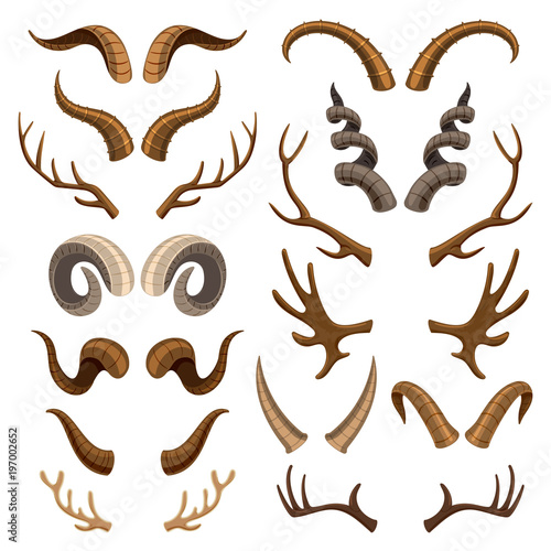 Horn vector horned wild animal and deer or antelope antlers illustration set of horny hunting trophy of reindeer isolated on white background