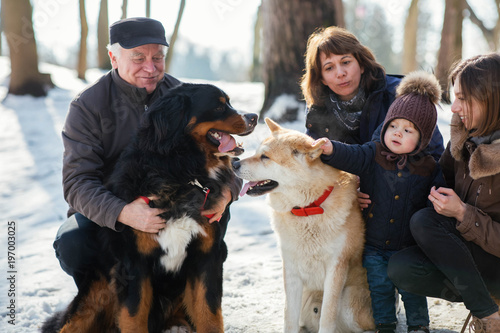 Happy family poses with funny Akita-inu and Bernese Mountain dog on the snow in a winter park