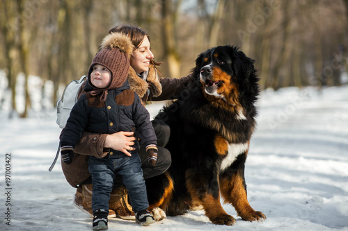 Woman hugs little boy and strokes Bernese Mountain dog posing in the park © IVASHstudio