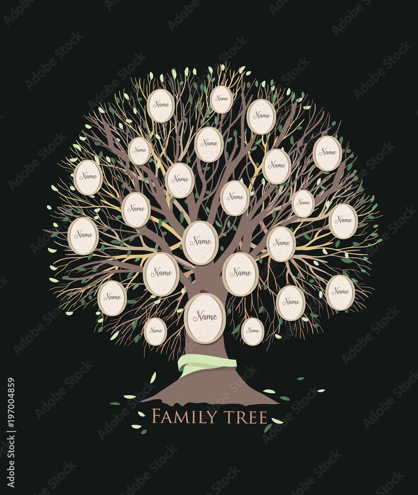 Stylized family tree or pedigree chart template with branches and round