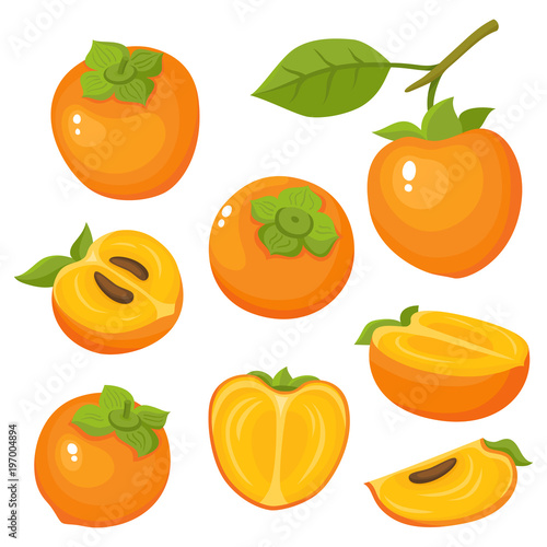 Bright vector set of colorful fresh juicy persimmon.