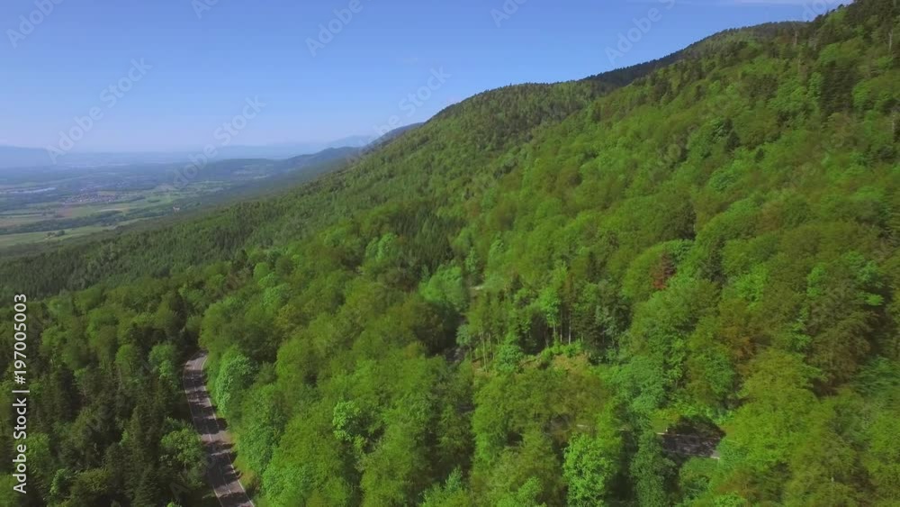 4K Forest aerial shot - Western Europe. Flying over a scenic natural landscape on a bright sunny day 4K Forest aerial shot - Western Europe. Flying over a scenic natural landscape on a bright sunny day