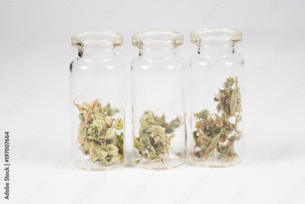 Cannabis for personal use, legal light drugs prescribe, alternative remedy or medication, folk medicine concept Cannabis for personal use, legal light drugs prescribe, alternative remedy or medication, folk medicine concept