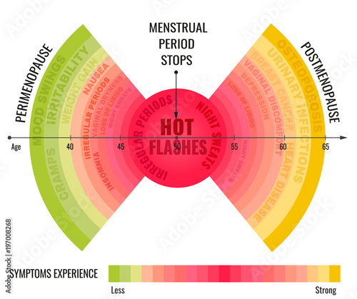 Stages of Menopause Infographic