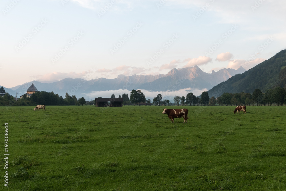 brown cow in front of mountain landscape