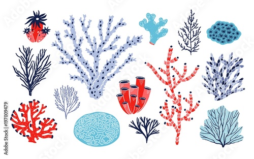 Set of different corals and seaweed or algae isolated on white background. Bundle of marine species, deep sea creatures, ocean flora and fauna. Underwater biodiversity. Colorful vector illustration.