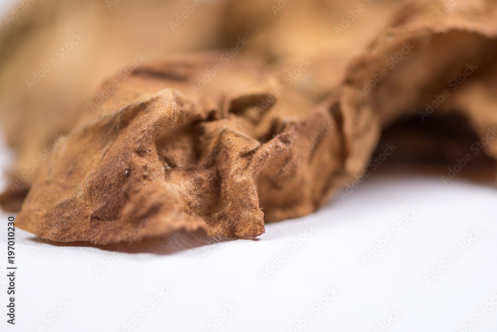 Dried tobacco leaves with fine visible structure details Abstract textured background Close up . Solonaceae, Nicotiana tabacum