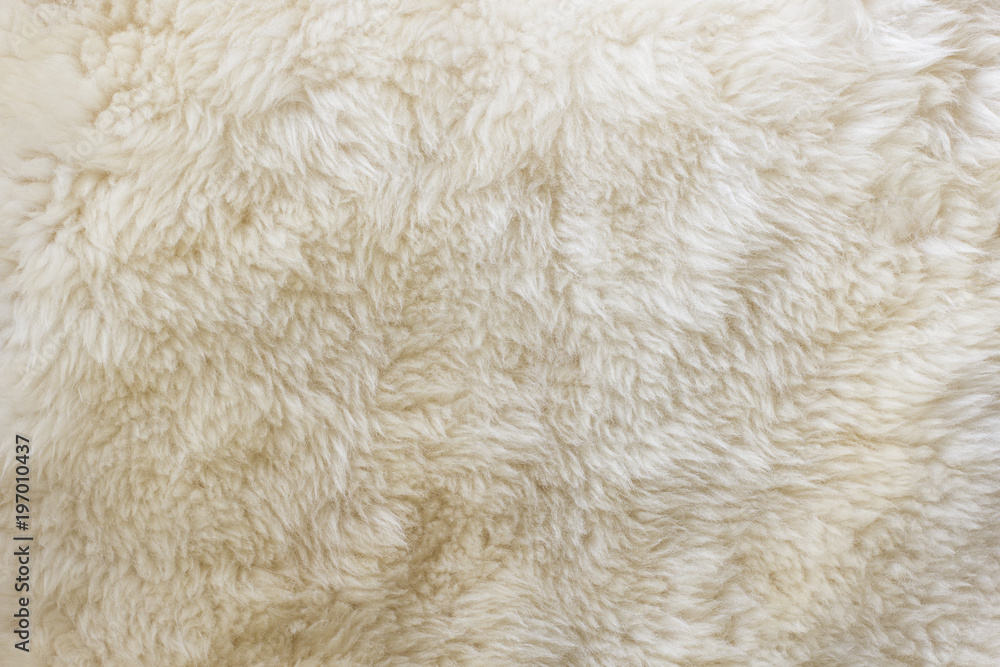 Natural Fur Texture Natural Fur Texture