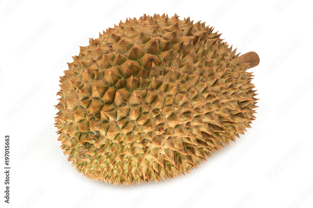 Durian Durian