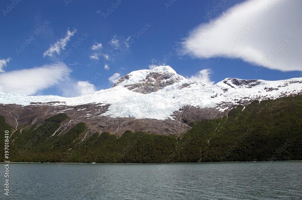 Glacier and forest view from the Argentino Lake, Argentina