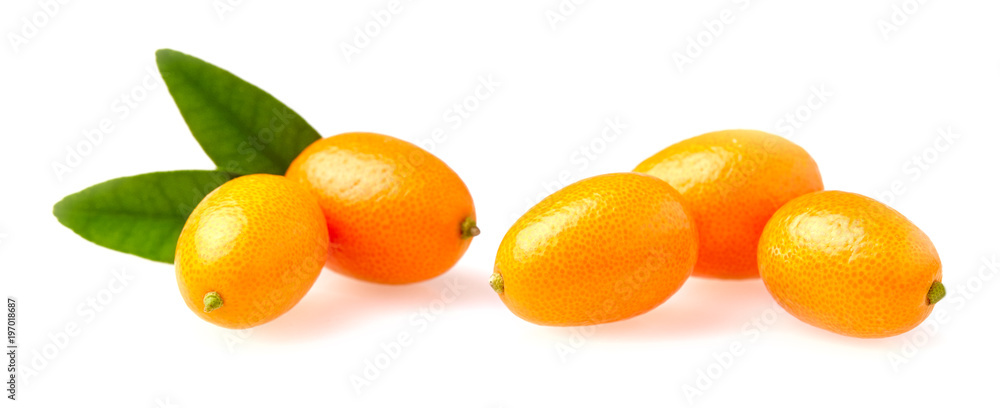 Cumquat or kumquat with leaf isolated on white background close up Cumquat or kumquat with leaf isolated on white background close up