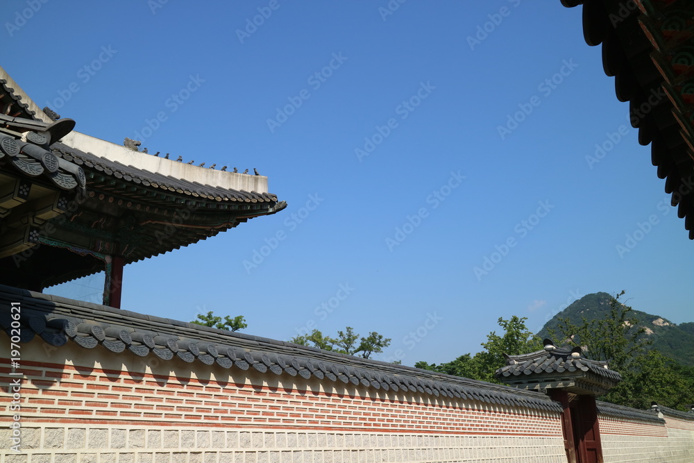 Fototapeta premium 한국의 전통 고궁과 풍경