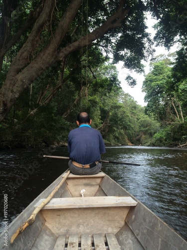 Boat trip through the rainforest