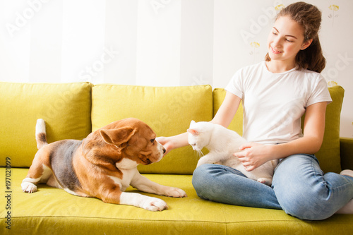 Obraz na plátně animals communication on the sofa