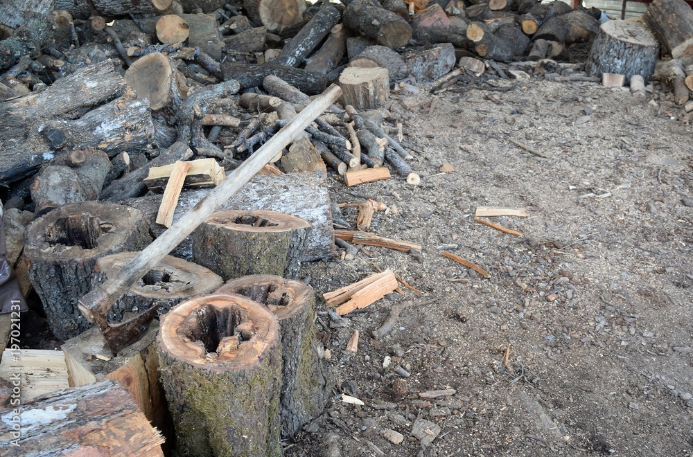 Axe for cutting firewood. The bark of an old tree.Natural texture.Marmaris.Turkey Axe for cutting firewood. The bark of an old tree.Natural texture.Marmaris.Turkey