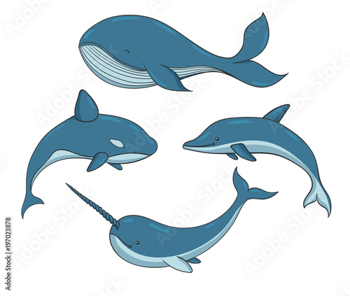 Set of blue vector underwater creatures with whales  narwhal and dolphin. Marine animals isolated on the white background.