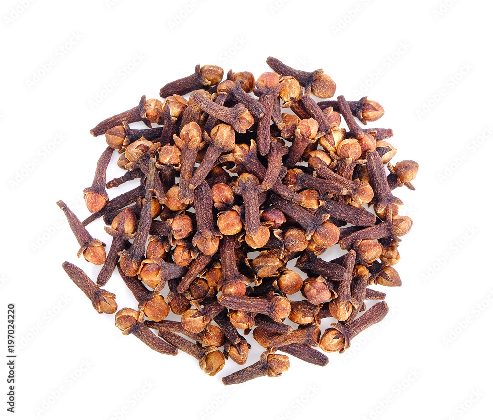 clove on white background clove on white background