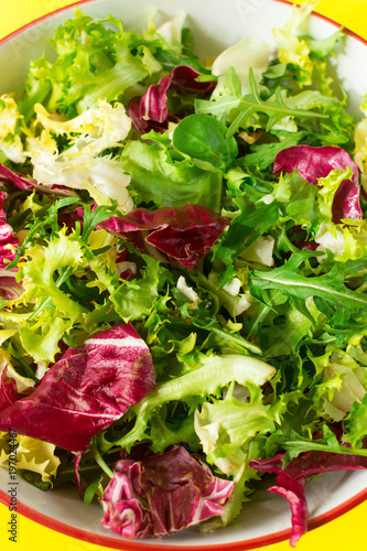 Mix of salads in a plate. Lettuce, frieze salad, radicchio, arugula, spinach. Bright yellow background. Close-up. The concept of a healthy diet