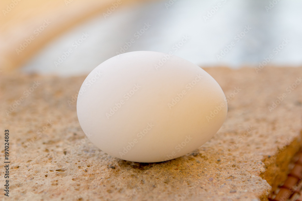 one white egg on a stone rustic background under the sun one white egg on a stone rustic background under the sun