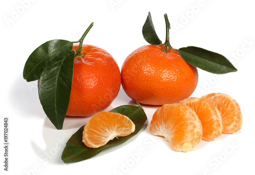 Mandarines, clémentines. Fond blanc