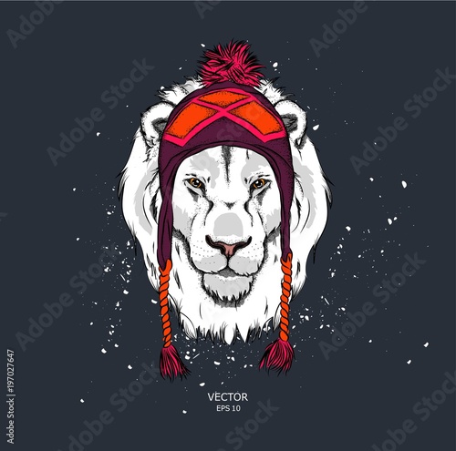 Fototapeta Naklejka Na Ścianę i Meble -  Hipster lion in cap. Vector illustration