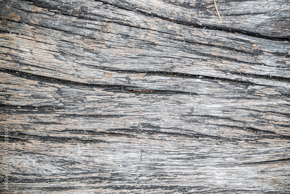 Brown wood texture grunge background Brown wood texture grunge background