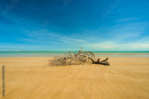 Mindil Beach - Australia photo