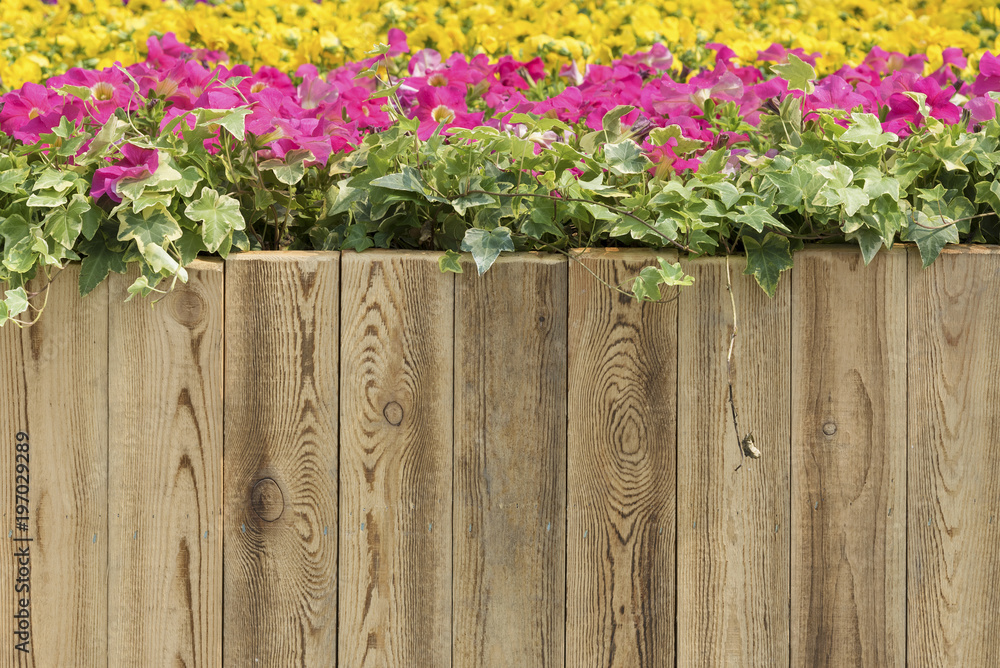 Wooden fence in flower Garden