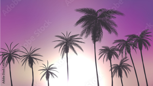 summer palm trees in sunset scene. vector illustration. EPS 10