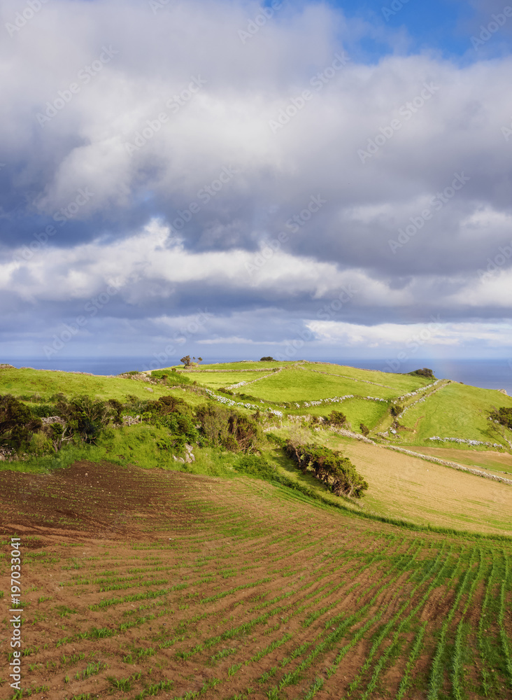 Landscape near Lajes, Flores Island, Azores, Portugal