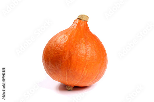 Potimarron, courges, coloquintes, cucurbitacées 