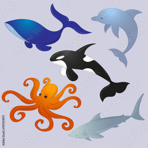 animal ocean vector images collection, dolphin, whale, octopus, killer whale, shark