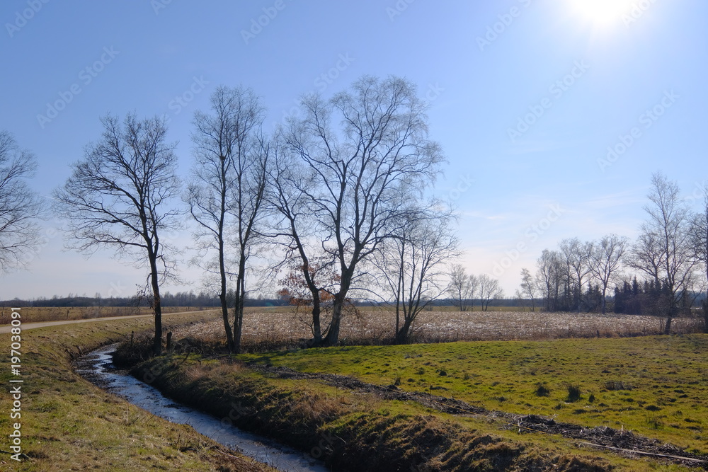 Winter am Breiten Wasser im März