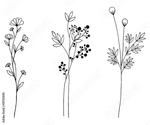 Naklejka na ścianę Ręcznie rysowane wektor vintage kwiaty elementy na białym tle.