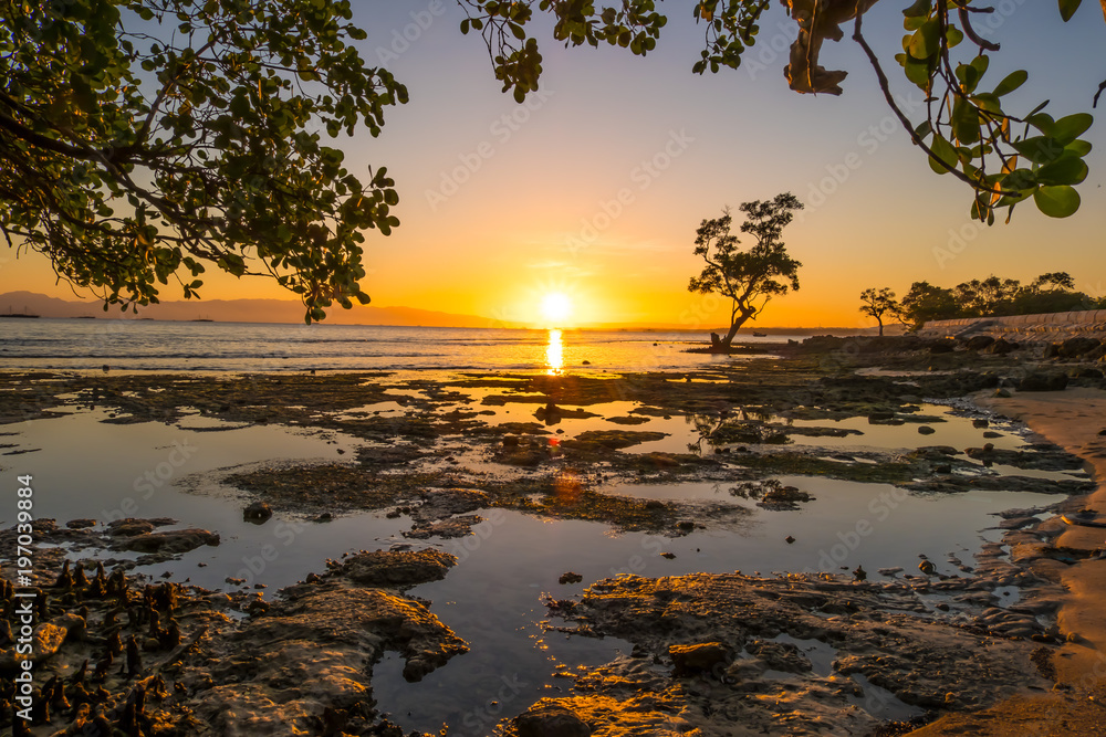 beautiful sunrise before tree with leaves frame beautiful sunrise before tree with leaves frame