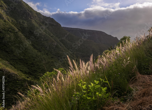 Barranco La Goleta, gorge, trail from Cruz del Carmen to Bajamar, Anaga Rural Park,Tenerife Island, Canary Islands, Spain