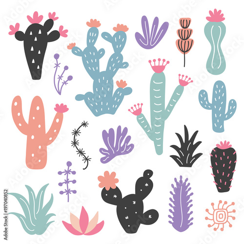 Hand drawn wild cactus flowers, tropical succulent plants set