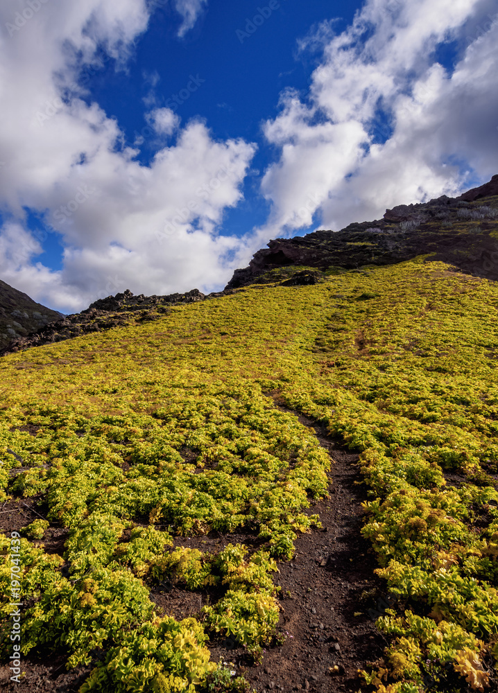 Obraz premium Anaga Rural Park, Tenerife Island, Canary Islands, Spain