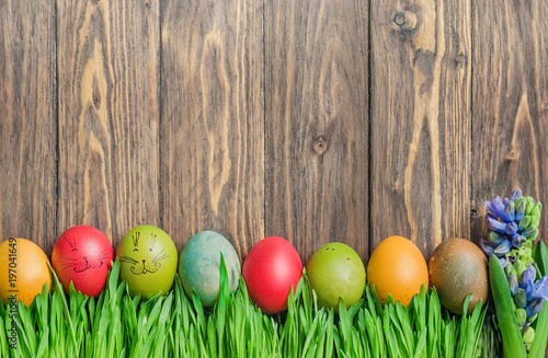 Easter colorful eggs and cute bunny in green grass