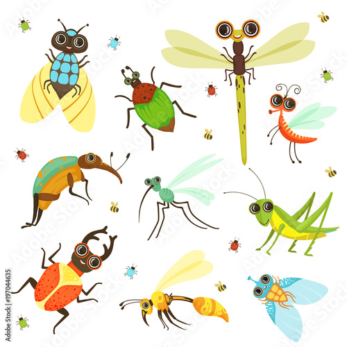 Bugs, butterfly and other insects in cartoon style © ONYXprj