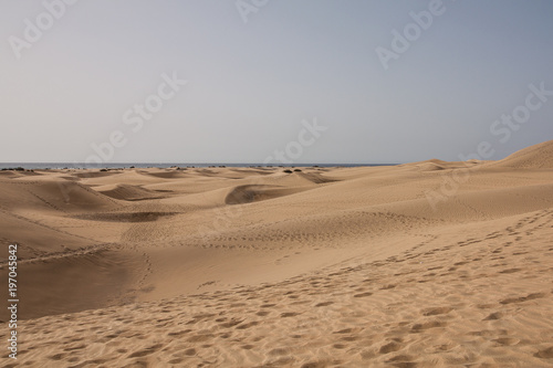 Sand dunes of Maspalomas  Canary Islands  Spain