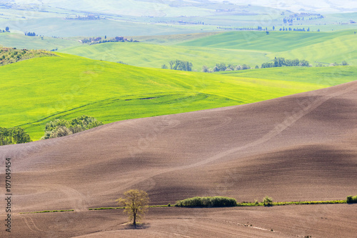 View of fields with soil in a rolling rural landscape