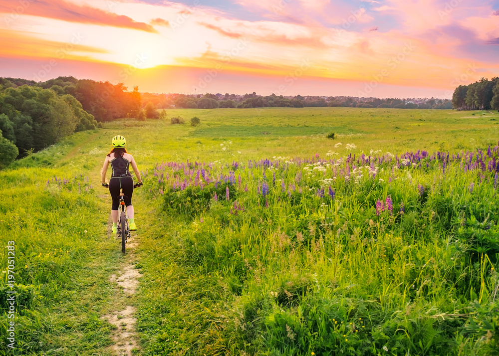 Young sporty woman riding a bicycle at sunset. Sporty girl goin downhill on bike among the field of lupines . Lens flare against the sky background