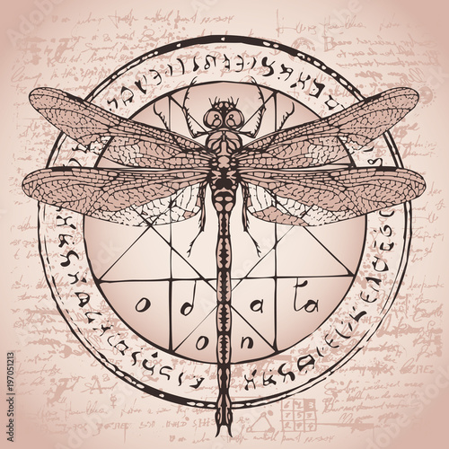 Illustration of a dragonfly on a circle with an octagonal star, magical inscriptions and symbols on the background of an old papyrus or a manuscript with spots. Vector banner in retro style