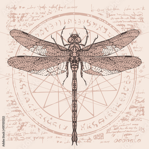 Illustration of a dragonfly on an abstract background of old papyrus or a manuscript with spots, circle, star, magical inscriptions and symbols. Vector banner in retro style