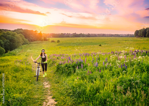 Young sporty woman riding a bicycle at sunset. Sporty girl goin uphill on bike among the field of lupines . Lens flare against the sky background