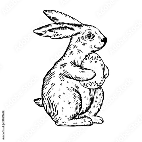 Easter bunny with egg engraving vector