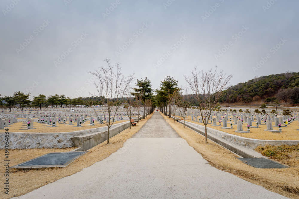 Tombstones in Seoul National Cemetery